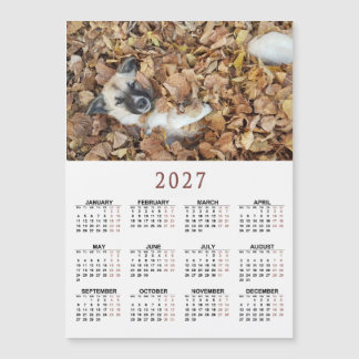 Calendrier magnétique 2027 avec Vos animaux