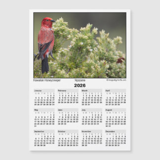 Calendrier magnétique 5x7 2026 Apapane Oiseau Hawa