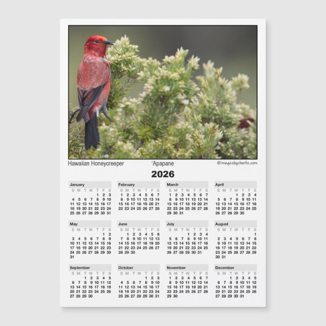 Calendrier magnétique 5x7 2026 Apapane Oiseau Hawa (Devant)