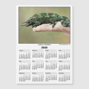 Calendrier magnétique 5x7 2026 Caméléon de Jackson
