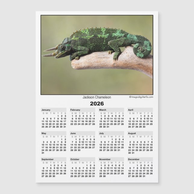 Calendrier magnétique 5x7 2026 Caméléon de Jackson (Devant)