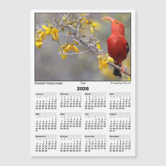 Calendrier magnétique 5x7 2026 Iiwi HawaiianHoneyc