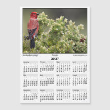 Calendrier magnétique 5x7 2027 Apapane Oiseau Hawa