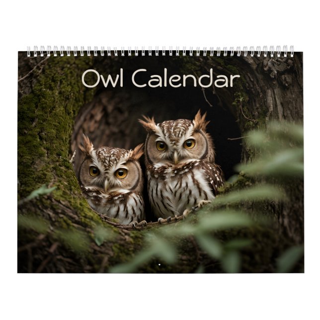 Calendrier Magnifique Collection Portrait de Chouette 2025 (Protection)