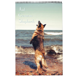 Calendrier magnifique de berger allemand