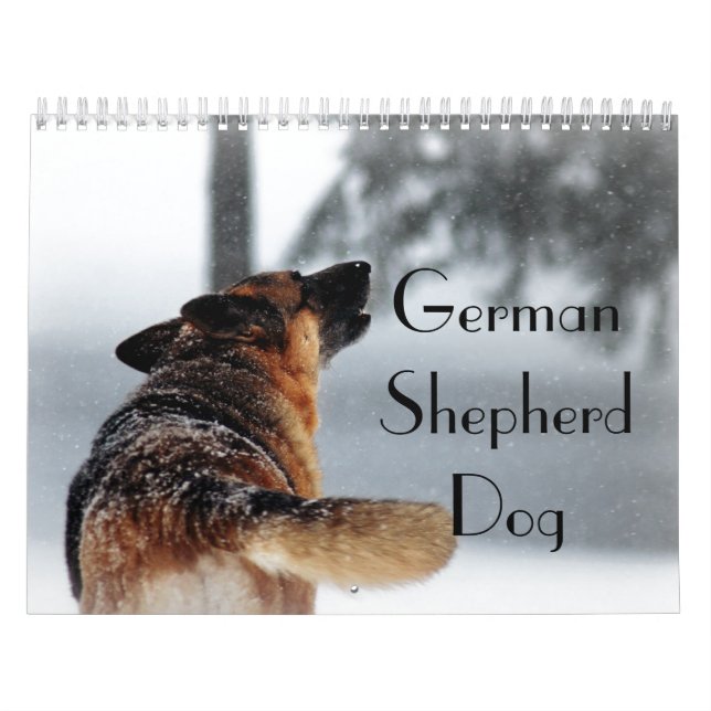 Calendrier magnifique de chien de berger allemand (Protection)