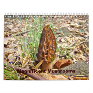 Calendrier - Magnifiques champignons