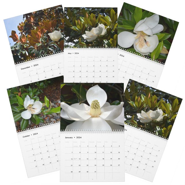 Calendrier Magnolia Blossoms Belle Photographie Florale (Créateur téléchargé)