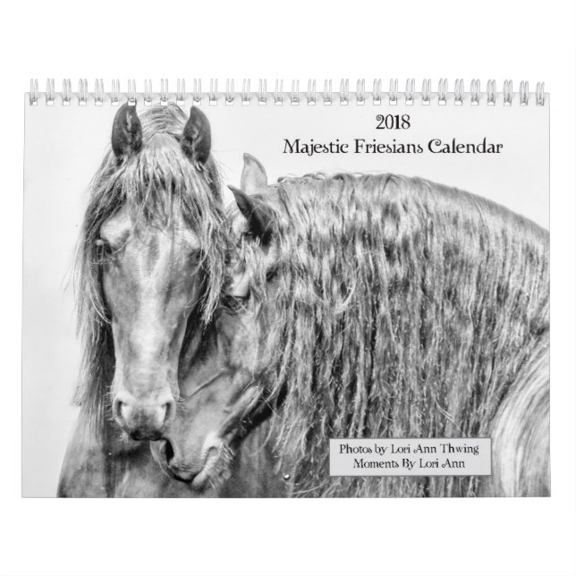 Calendrier majestueux de 2018 frisons (Protection)