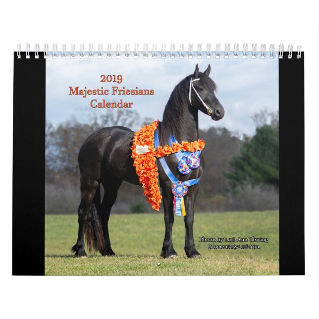 Calendrier majestueux de 2019 frisons (Protection)