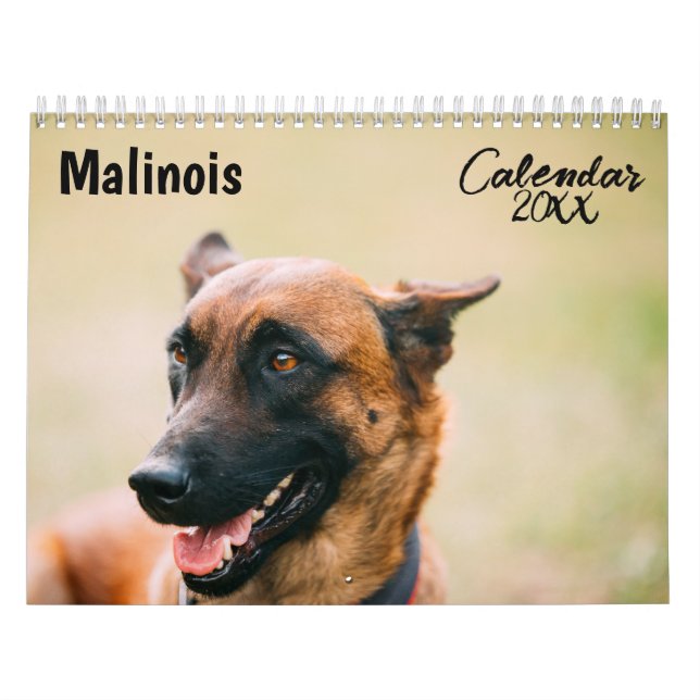 Calendrier malinois 2026 (Protection)