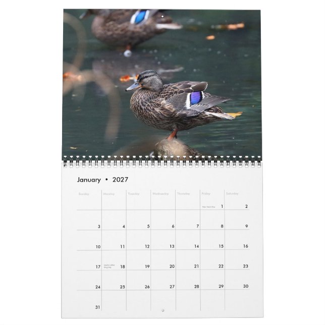 Calendrier Mallards 2021 (Jan 2027)