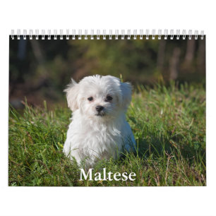 Calendrier maltais