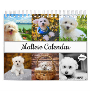 Calendrier maltais