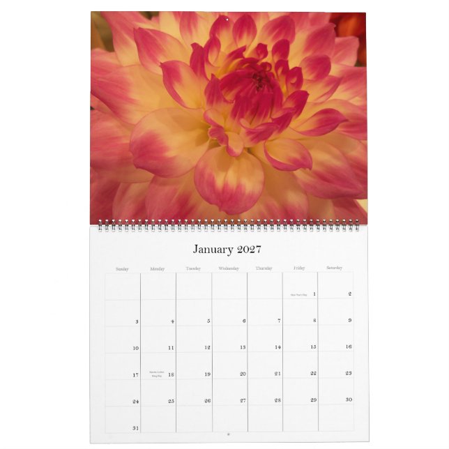 Calendrier Mamans et dahlias 2012 (Jan 2027)
