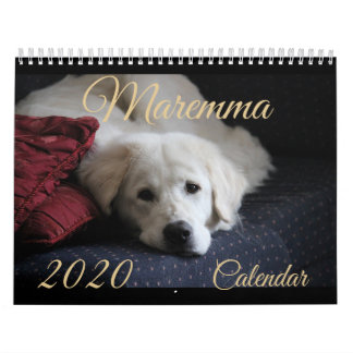Calendrier maremmatique 2020