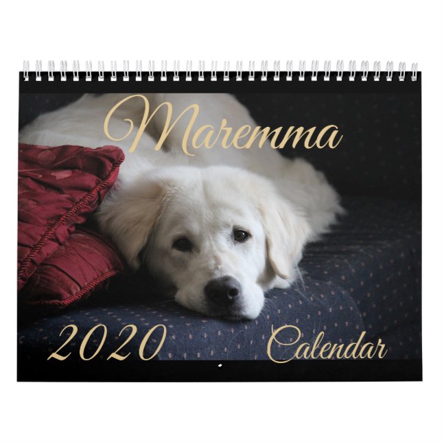 Calendrier maremmatique 2020 (Protection)