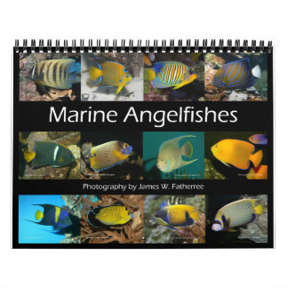 Calendrier Marine Angelfishes Wall Calendar de J.W. Patrie