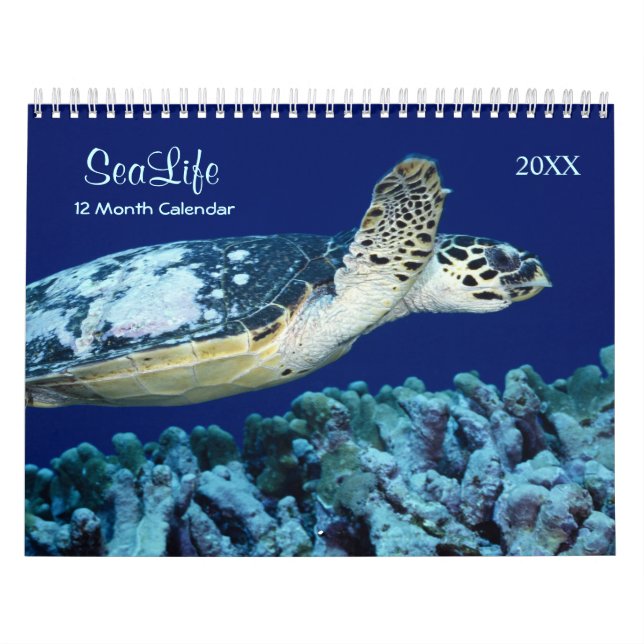 Calendrier Marine Fish and Sea Life 2021 (Protection)
