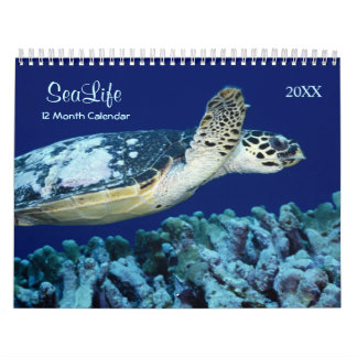 Calendrier Marine Fish and Sea Life 2021