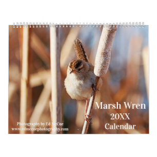 Calendrier Marsh Wren