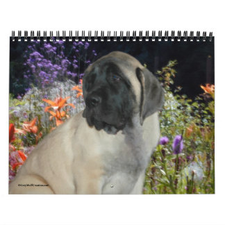 Calendrier Mastiff Puppies