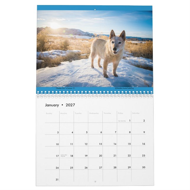 Calendrier Matilda & Petunia Calendar 2026 (Jan 2027)