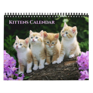Calendrier Medium Size Kittens Calendar