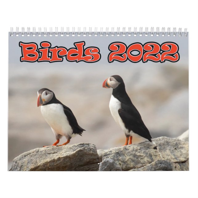 Calendrier MediumCalendar de deux pages, blanc (Protection)