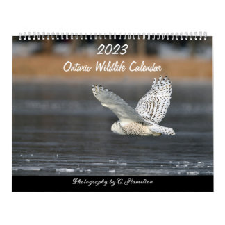 Calendrier MediumCalendar de deux pages, blanc