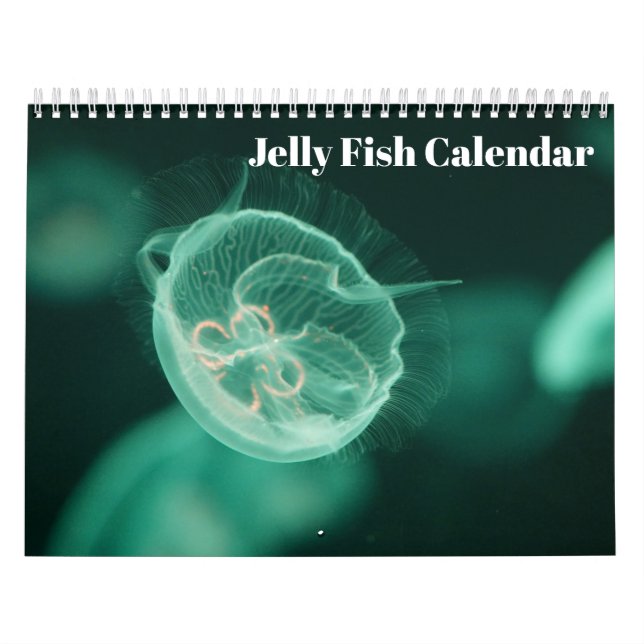 Calendrier Méduse 2027 (Protection)