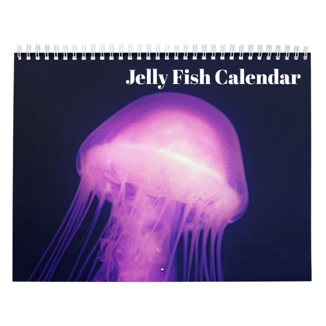 Calendrier Méduses 2027 (Protection)