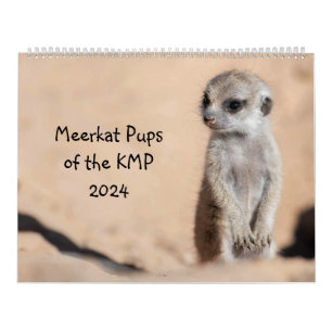 Calendrier Meerkat Pups du KMP 2024