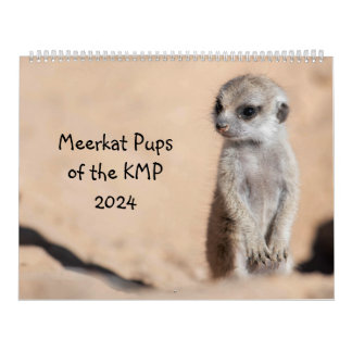 Calendrier Meerkat Pups du KMP 2024