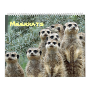 Calendrier Meerkats