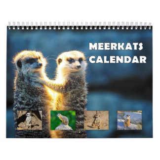 Calendrier Meerkats