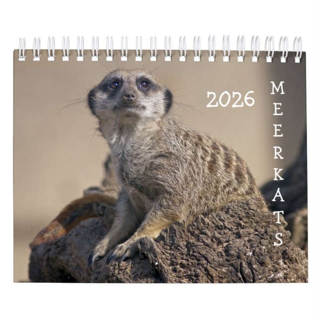 Calendrier Meerkats (Protection)