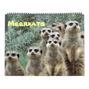 Calendrier Meerkats 001