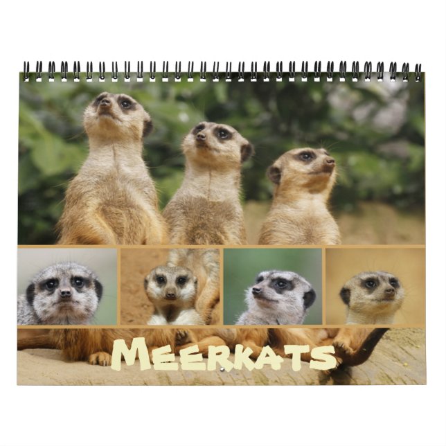 Calendrier Meerkats 002 (Protection)