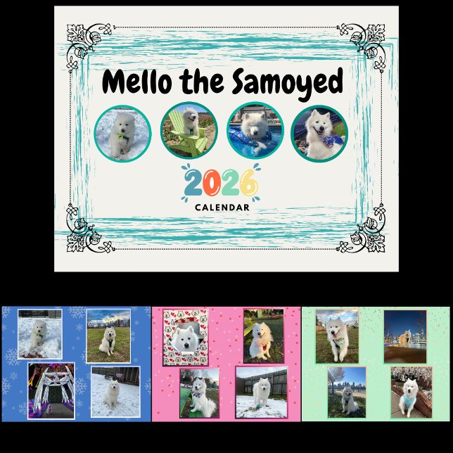 Calendrier Mello le Samoyède 2026 (Cover, January, February, March)