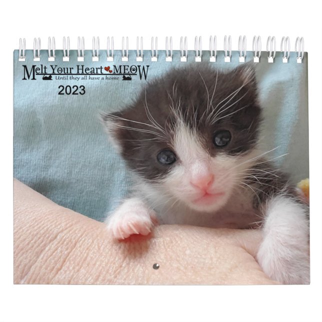 Calendrier Melt Your Heart - MEOW 2023 Kitten Calendar (Protection)