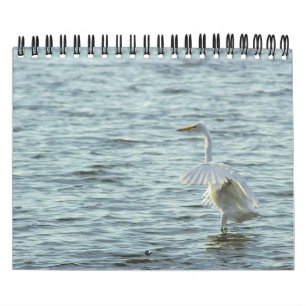 Calendrier Ménagerie