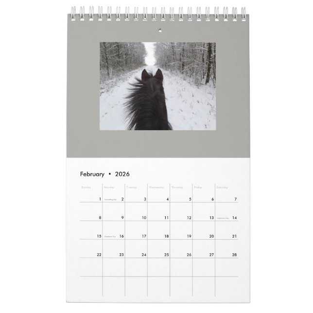 Calendrier 2026 Animaux Grupo Erik Calendrier Mural 2026 Amelie Mensuel 30x60cm De Janvier A Decembre 2832297316 Calendrier 2026 Disney