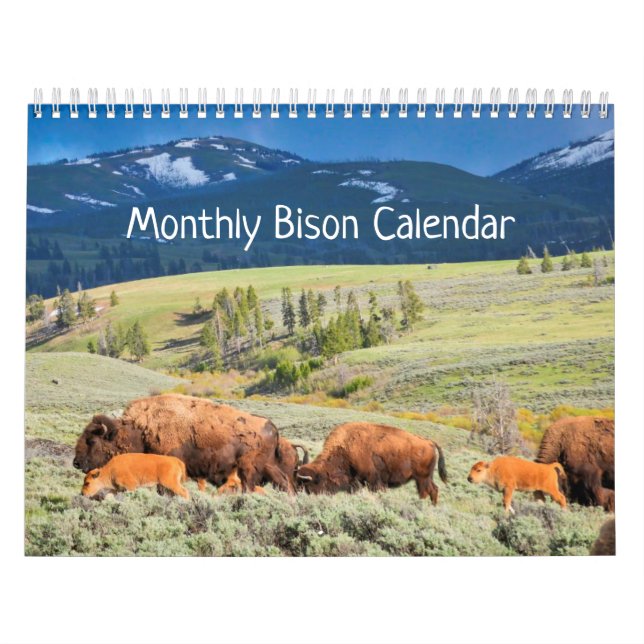 Calendrier mensuel des bisons - Édition Parcs nati (Protection)
