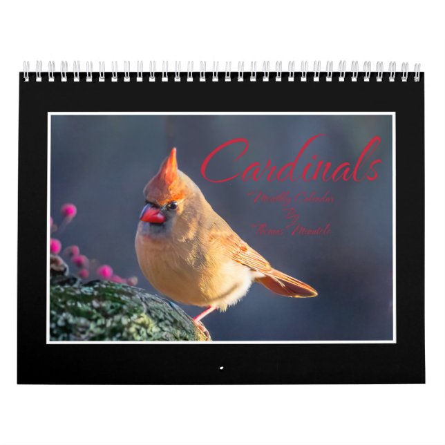Calendrier mensuel des cardinaux (Protection)