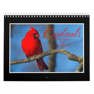 Calendrier mensuel des cardinaux par Thomas Minuto