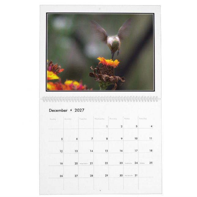 Calendrier mensuel des colibris 2016 par Tom (Dec 2027)