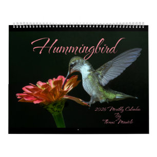 Calendrier mensuel des colibris 2026 par Tom Minut
