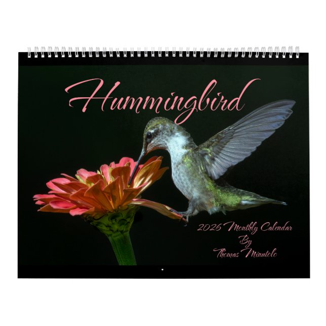 Calendrier mensuel des colibris 2026 par Tom Minut (Protection)