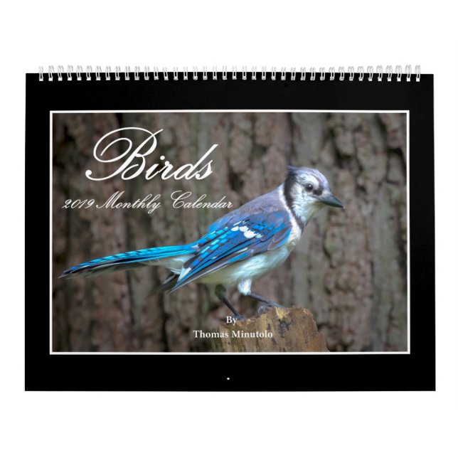 Calendrier mensuel des oiseaux 2019 par Thomas (Protection)